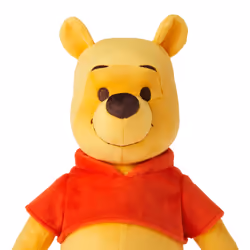 Fisher-Price Disney Winnie the Pooh Your Friend Pooh
