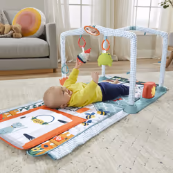 Fisher-Price HJK45 gymnase et tapis d'éveil pour bébé Multicolore Tapis de gymnastique pour bébé