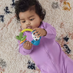 Fisher-Price HJW11 hochet