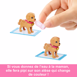 Barbie – Coffret Nouvelle Adoption - Vue supplémentaire 8