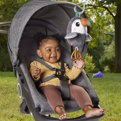 Fisher-Price Toucan À Agiter Partout