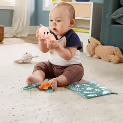 Fisher-Price Coffret Les Sens en Éveil