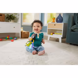 Fisher-Price Rires et Éveil HWY38 jouet d'apprentissage