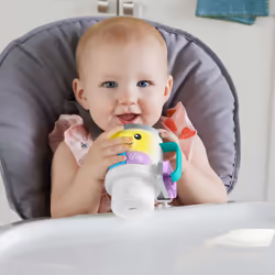 Fisher-Price Rires et Éveil HWY42 jouet d'apprentissage