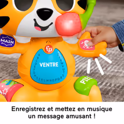 Fisher-Price Jouet D’Éveil Link Squad Tigre Parties Du Corps