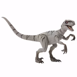 Jurassic World Hammond Collection Atrociraptor Ghost, 8 an(s), Gris