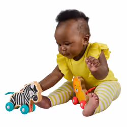 Mattel Fisher-Price – Animaux à Pousser en Bois