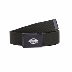 Ceinture Dickies Orcutt Webbing
