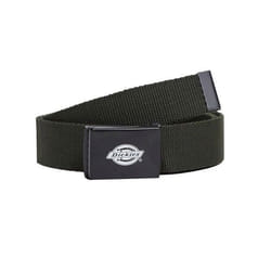 Ceinture Dickies Orcutt Webbing
