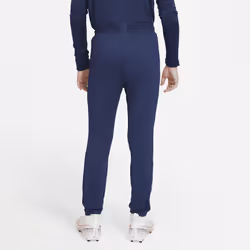 Nike CW2170-429