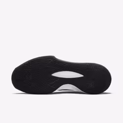 Nike CW3403-003 Basket-ball 43