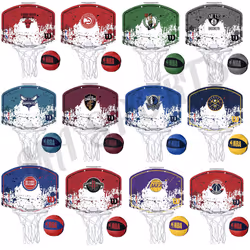 Mini Panier NBA Miami Heat