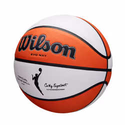 Wilson WTB5000XB06R ballon de basket Intérieure Orange