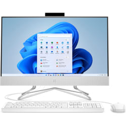 HP 24-df0079n AMD Athlon Silver 23.8" 8Go 1To HDD Win11 Home Blanc