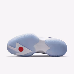 Nike DA3130-401 Basket-ball 43