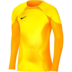 Nike Gardien IV Maillot De Gardien Manches Longues Hommes - Jaune  Taille: XL