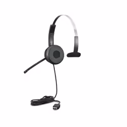 Lenovo 100 Mono