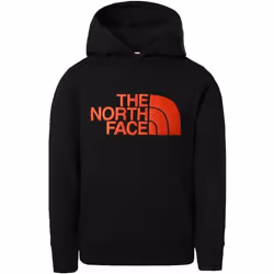 Sweatshirt à capuche enfant The North Face Drew Peak
