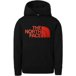 Sweatshirt à capuche enfant The North Face Drew Peak