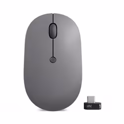 Lenovo Go