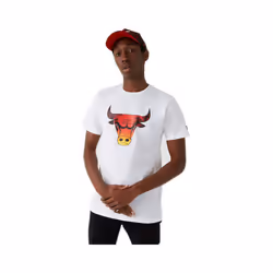 T-shirt New Era NBA Chicago Bulls summer city logo
