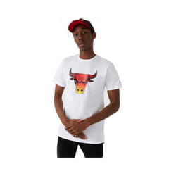 T-shirt New Era NBA Chicago Bulls summer city logo