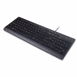 Lenovo Essential clavier USB QWERTZ Allemand Noir