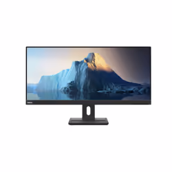 Lenovo ThinkVision E29w-20, 73,7 cm (29"), 2560 x 1080 pixels, Full HD Ultra large, LED, 6 ms, Noir