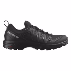 SALOMON X Braze GTX Noir