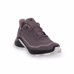 Chaussures - SALOMON - Alphacross 5 Gtx - Violet - Femme - Trail