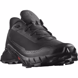 Chaussures Salomon Alphacross 5 L47312700