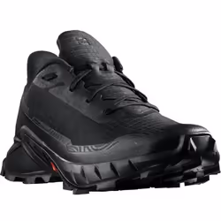 Chaussures Salomon Alphacross 5 L47313100