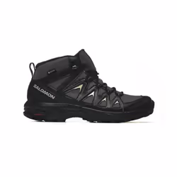 Chaussures Salomon X Braze Mid Gtx L47430500