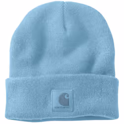 Carhartt Black Label Watch Chapeau, bleu pour Hommes