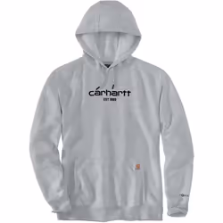 Carhartt Lightweight Logo Graphic Capuche, gris, taille L pour Hommes