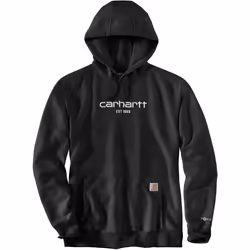 Carhartt Lightweight Logo Graphic Capuche, noir, taille S pour Hommes
