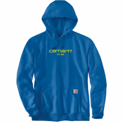 Carhartt Lightweight Logo Graphic Capuche, bleu, taille L pour Hommes