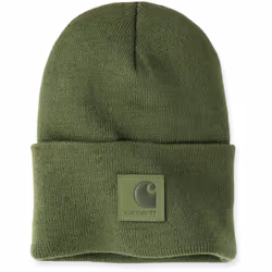 Carhartt Black Label Watch Chapeau, vert pour Hommes