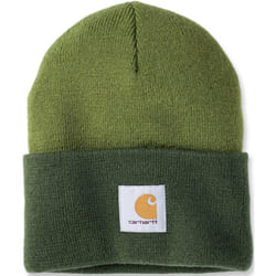Carhartt Knit Cuffed Two-Tone Beanie, vert pour Hommes