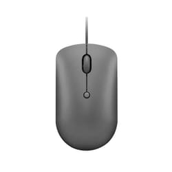 Lenovo 540 souris Ambidextre USB Type-C Optique