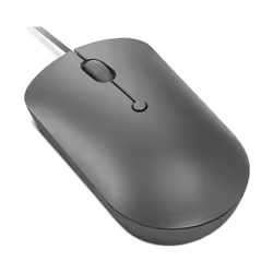 Lenovo 540 souris Ambidextre USB Type-C Optique