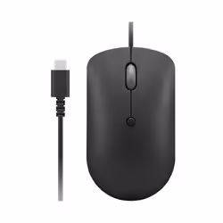 Lenovo GY51D20875, Ambidextre, Optique, USB Type-C, 2400 DPI, Noir