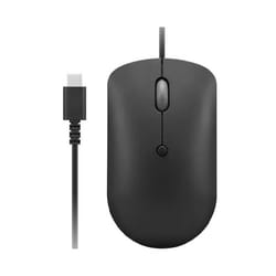 Lenovo GY51D20875 souris Ambidextre USB Type-C Optique 2400 DPI