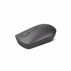Lenovo 540, Ambidextre, Optique, RF sans fil, 2400 DPI, Gris