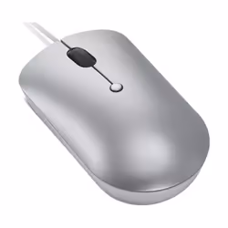 Lenovo 540 souris Ambidextre USB Type-C Optique