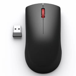 Lenovo WL150 Souris Sans Fil – Souris Ergonomique et Précise pour Bureau Souris sans fil optique 2.4G ambidextre