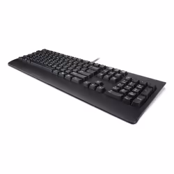 Lenovo Preferred Pro II USB Keyboard-French clavier maison/bureau Français Noir - Vue supplémentaire 2
