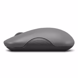 Lenovo 350 souris Bureau Ambidextre Bluetooth Optique 2400 DPI - Vue supplémentaire 5