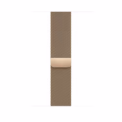 Apple MTJP3ZM/A, Bande, Smartwatch, Or, Apple, Apple Watch 42mm, 44mm, 45mm, 49mm, Acier inoxydable