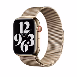 Apple MTJP3ZM/A Bande Or Acier inoxydable